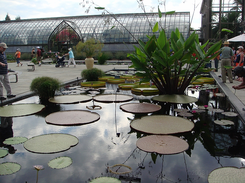 273 Longwood Gardens [2008 August 23].JPG - Longwood Gardens in Pennsylvania